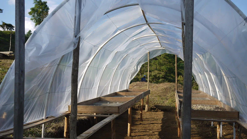 Nossa Familia Coffee - Nicaragua - Finca San Jose de las Nubes - Washed Process - Image 9